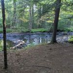 Sun River Campground