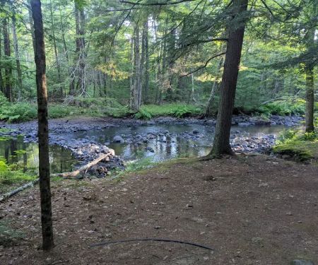 Sun River Campground