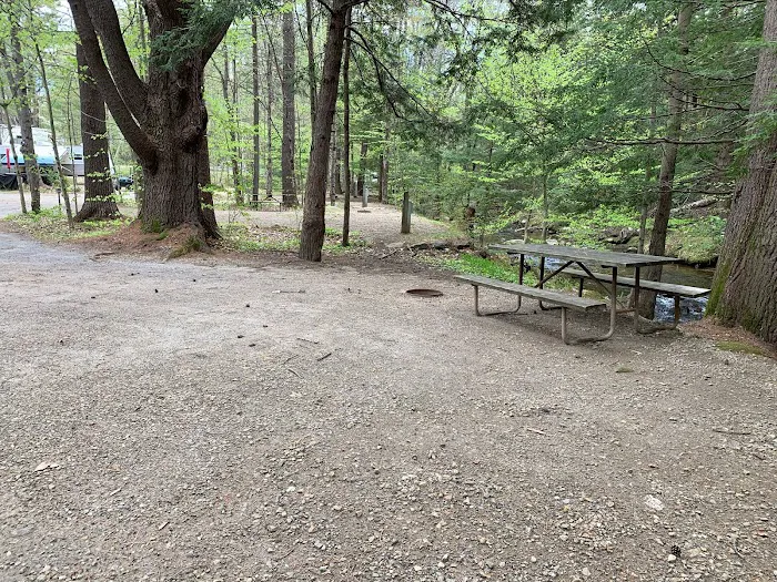 Ames Brook Campground Picture 1