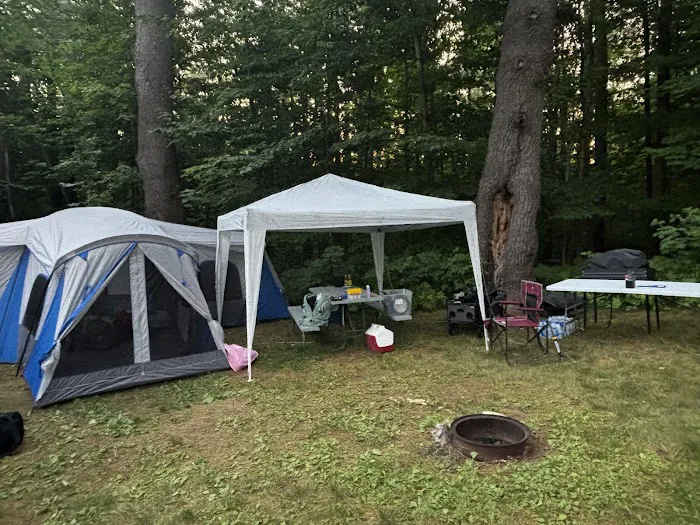 Pine Hollow Campground Picture 2