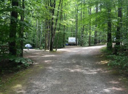 Harbor Hill Camping Area