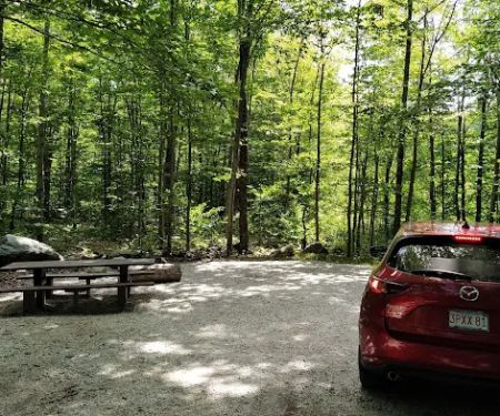 Moosalamoo Campground