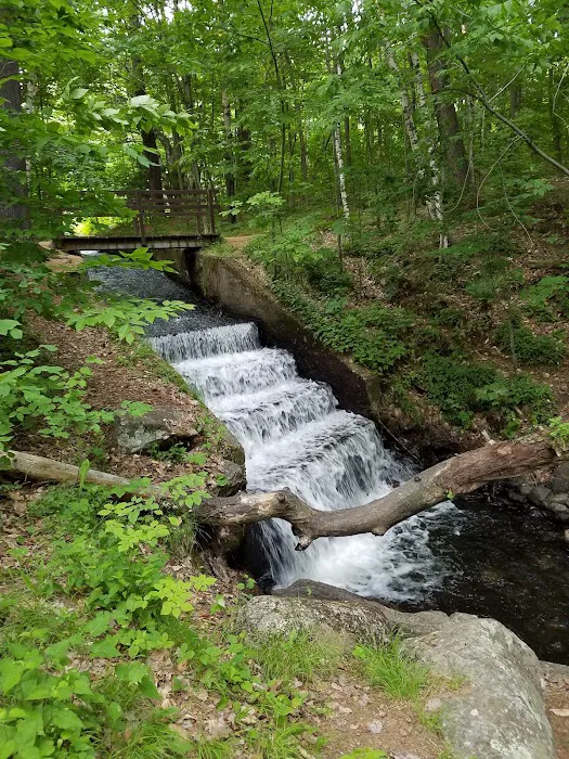 Silver Lake Campground Picture 5