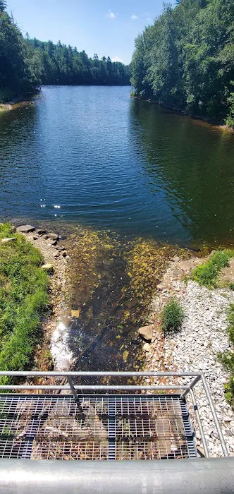 Silver Lake Campground Picture 2