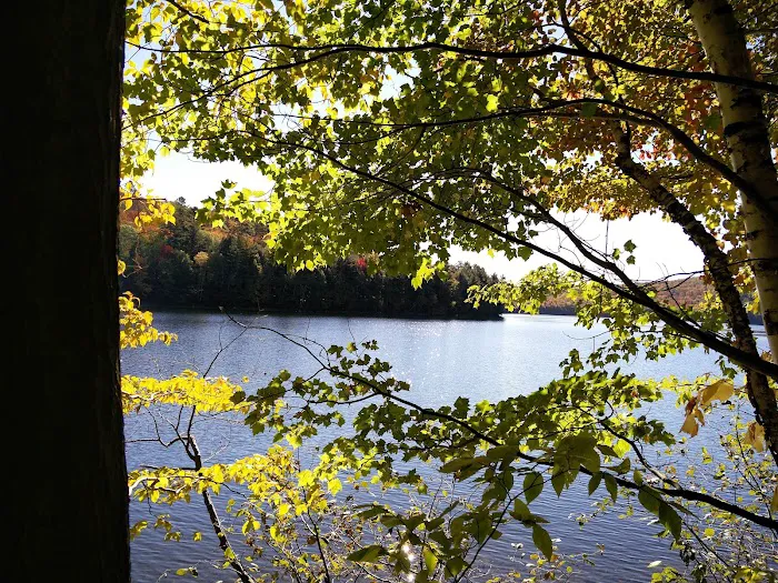 Silver Lake Campground Picture 4