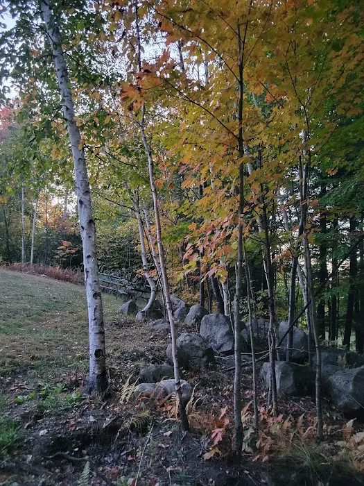 Lazy Lions Campground Picture 4