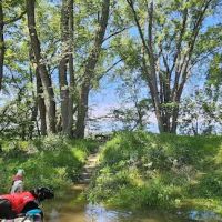 Vaughan Meadow ico