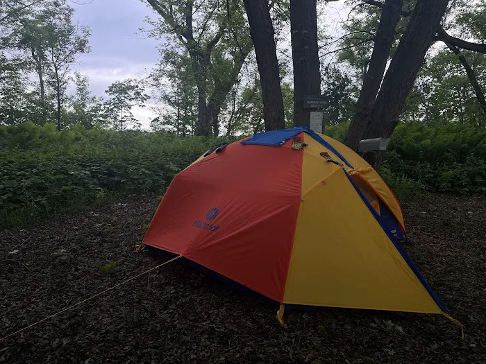 Harkdale Farm Campsite Picture 9