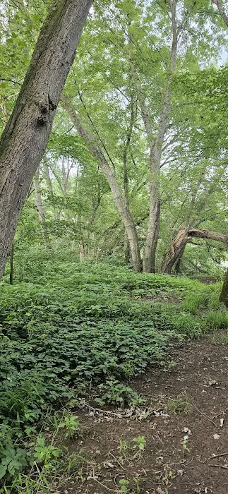 Harkdale Farm Campsite Picture 6