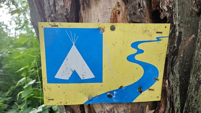 Harkdale Farm Campsite Picture 4