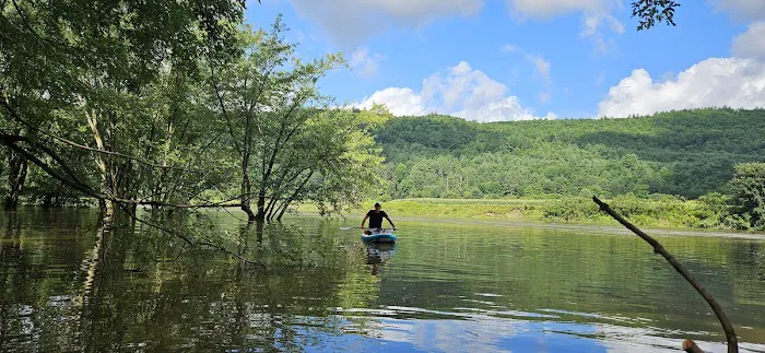 Howard Island South Campsite Picture 5