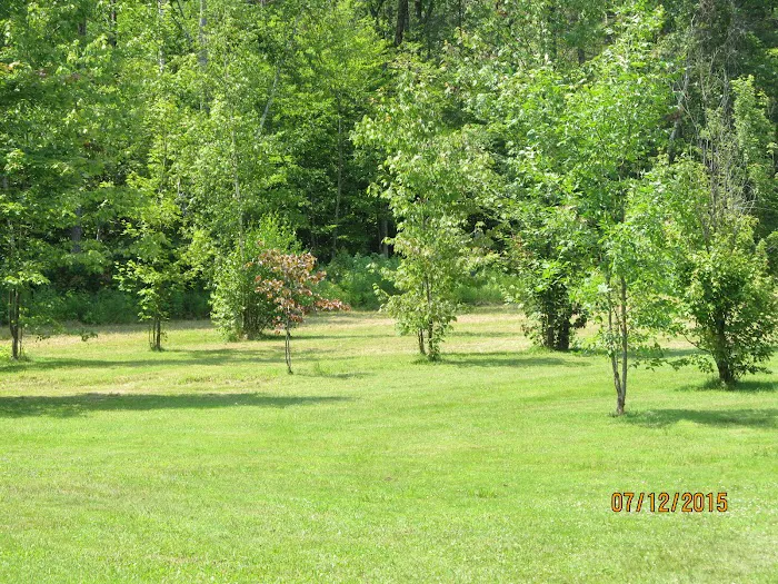 Country Village Campground Picture 3