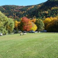 Green Mountain Family Campground ico