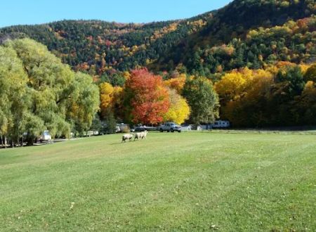 Green Mountain Family Campground
