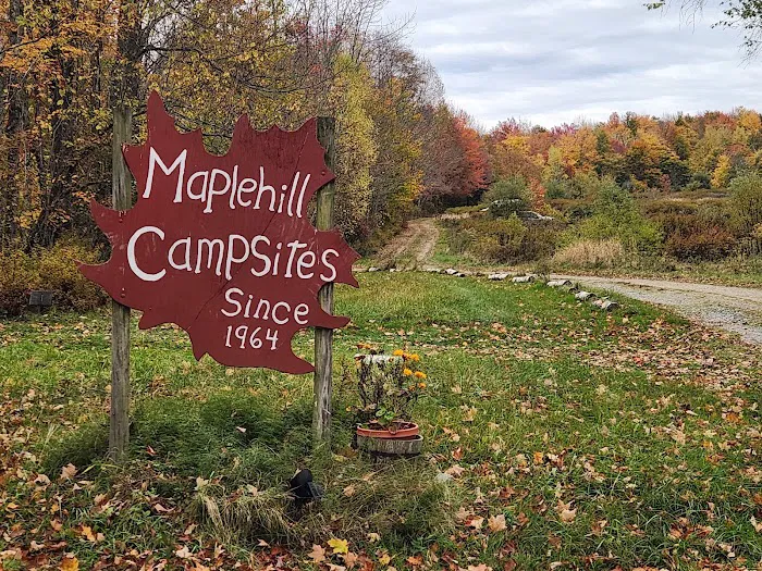 Maple Hill Campsites Picture 4