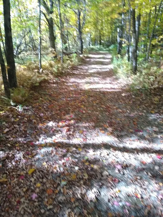 Maple Hill Campsites Picture 1