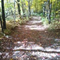Maple Hill Campsites ico