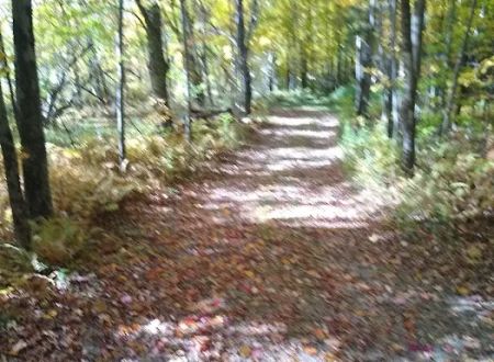 Maple Hill Campsites