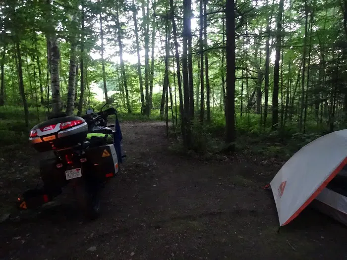 Maple Hill Campsites Picture 6