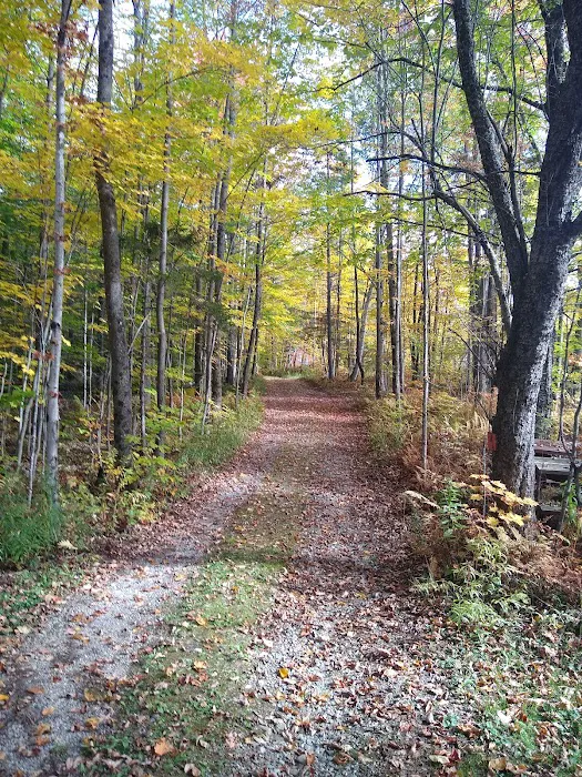 Maple Hill Campsites Picture 2