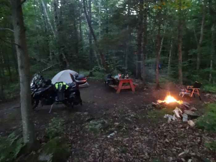 Maple Hill Campsites Picture 7