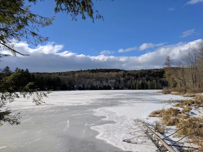 Half Moon Pond State Park Campground Picture 9