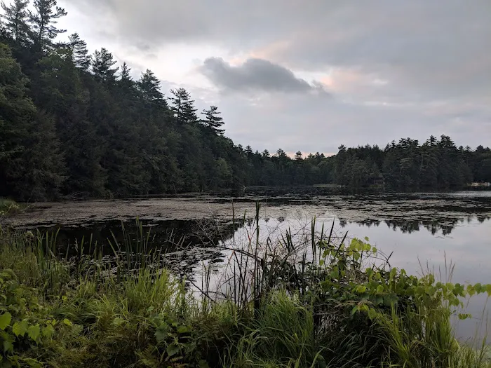 Half Moon Pond State Park Campground Picture 7