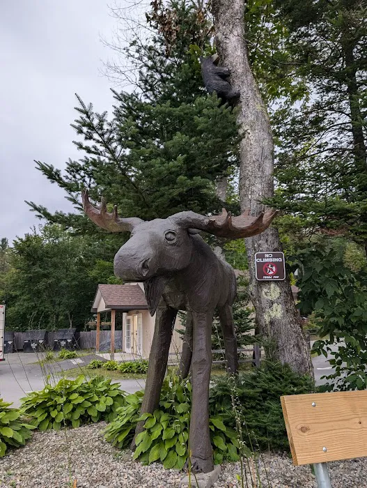 Moose Hillock Camping Resort Picture 7