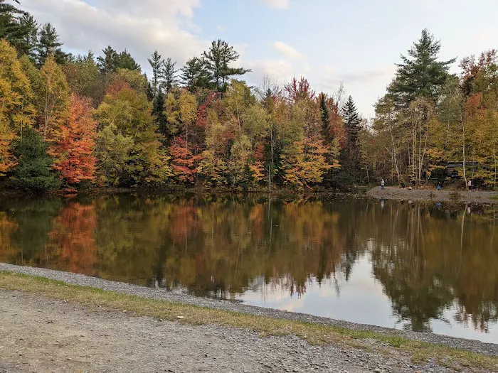Moose Hillock Camping Resort Picture 6