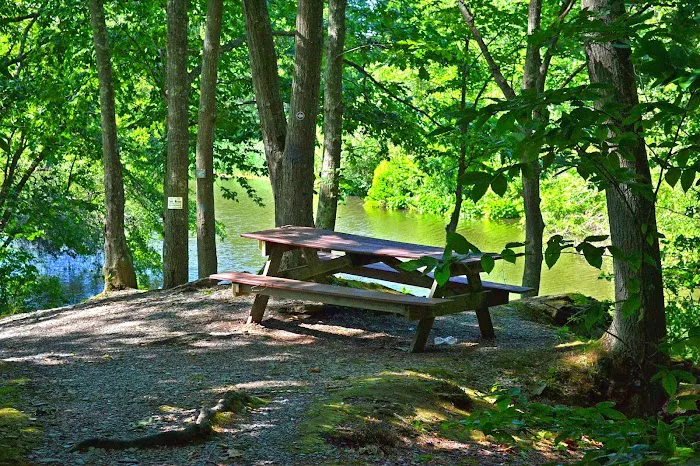 Newport RV Park Picture 5