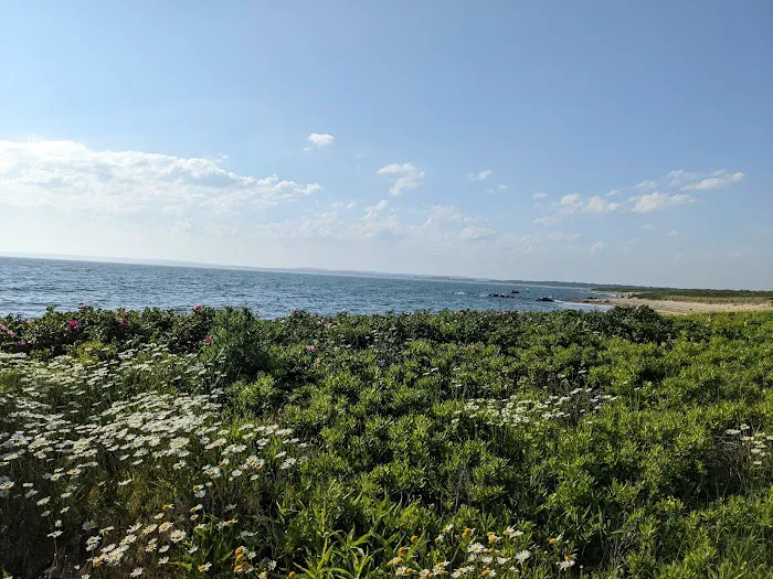 Horseneck Beach State Reservation Campground Picture 9