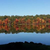 Ayers Lake Farm Campground & Cottages ico