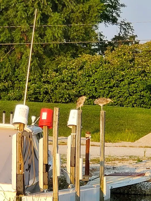 Wild Wings Marina & RV Park Picture 6