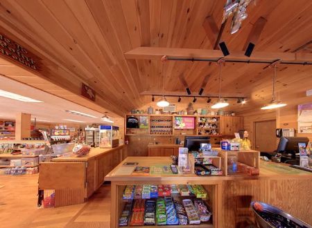 Strafford / Lake Winnipesaukee South KOA Holiday
