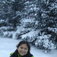 Forest Glen Campground ico