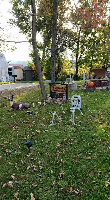 Buffalo Hills RV Resort - Family Owned Picture 5