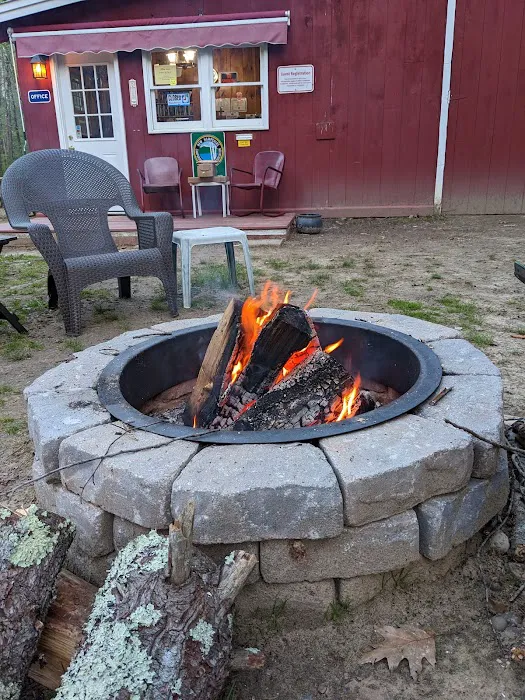 Wellington Camping Park Picture 6