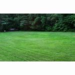 MJR RV Park