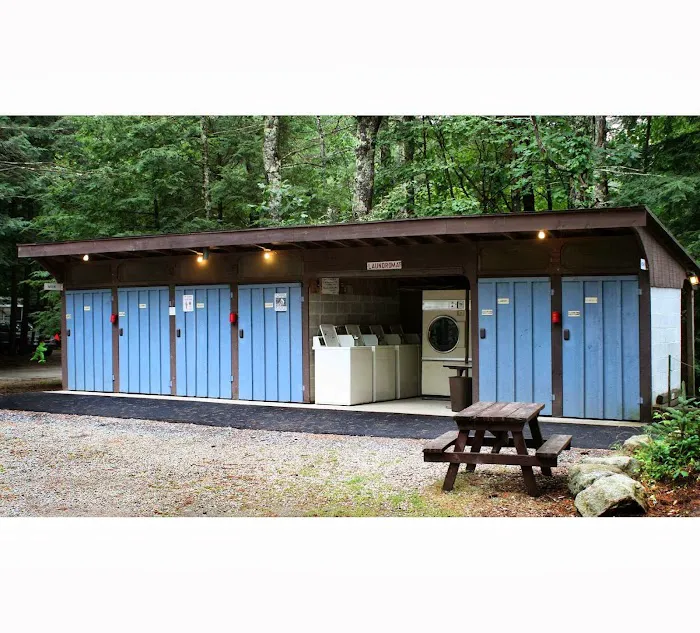 MJR RV Park Picture 3