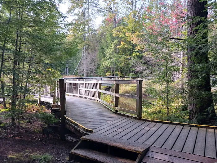 Gunstock Campground Picture 1