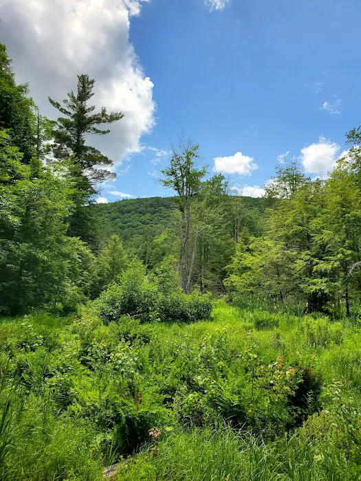 Gunstock Campground Picture 6