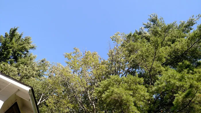 Spring Haven Campground Picture 4