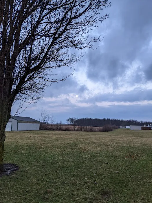 Bennington Springs Picture 4