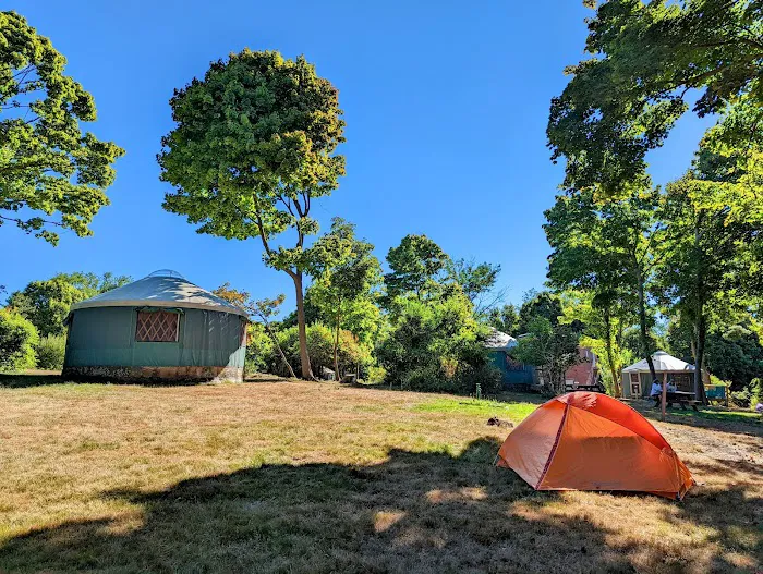 Peddocks Island Yurt #3 Picture 1