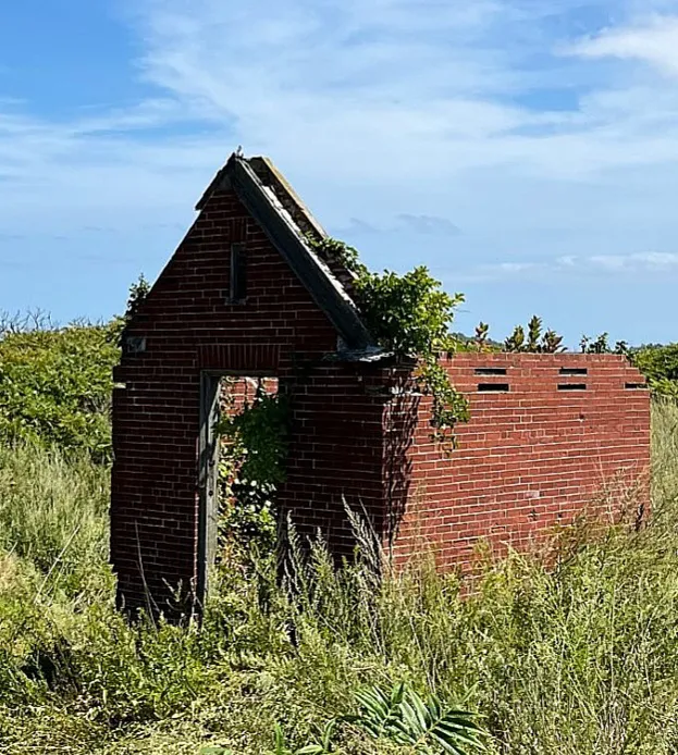 Lovells Island Picture 3