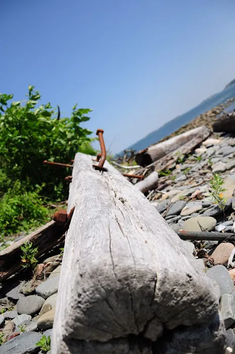 Lovells Island Picture 9