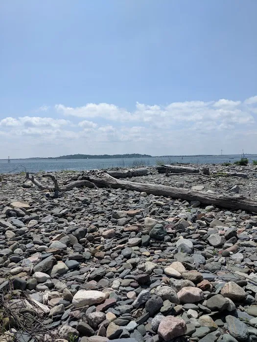 Lovells Island Picture 10