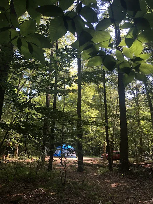 Wompatuck Camp Grounds Picture 4