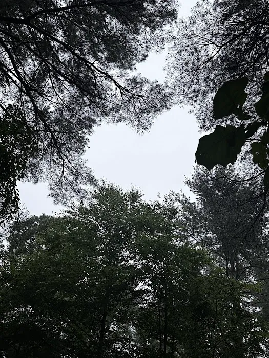 Wompatuck Camp Grounds Picture 7