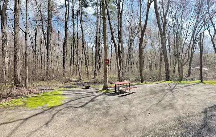 Pines Camping Area Picture 6